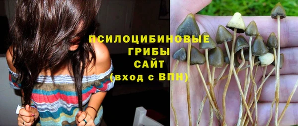 ПСИЛОЦИБИНОВЫЕ ГРИБЫ Навашино