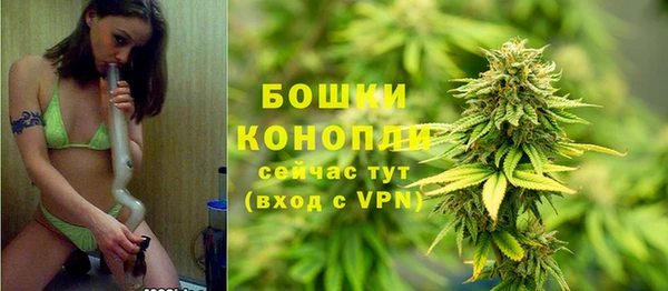ПСИЛОЦИБИНОВЫЕ ГРИБЫ Навашино