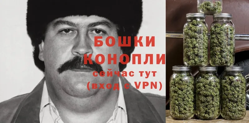 купить закладку  Олонец  Марихуана OG Kush 